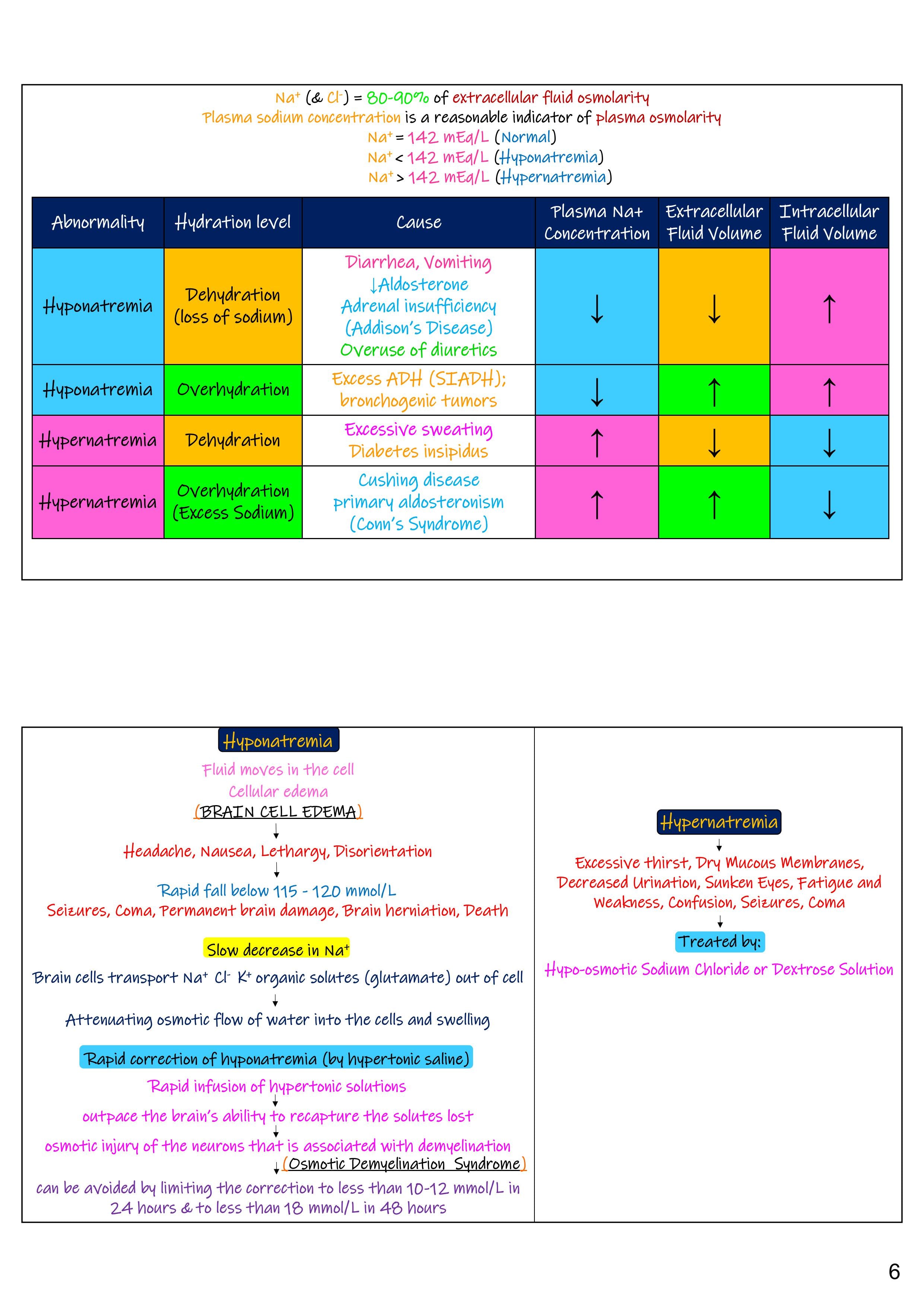 Medical Gateway Lecture Notes – 2nd Year MBBS | 1st Edition, Hard Copy)