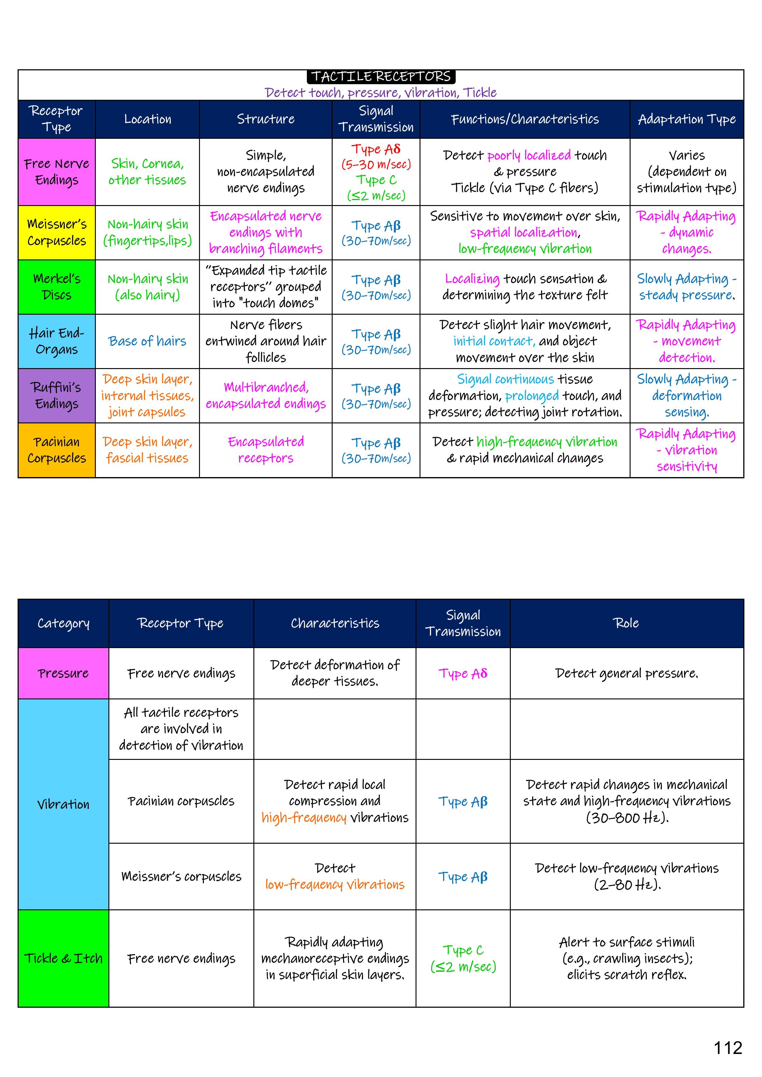 Medical Gateway Lecture Notes – 2nd Year MBBS | 1st Edition, Hard Copy)